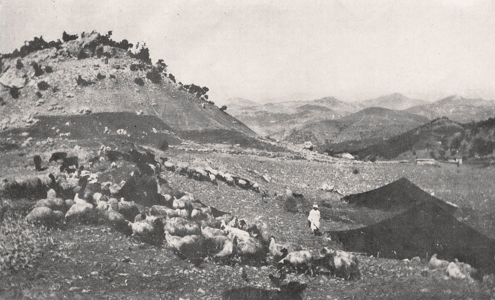 Nomad Museum - The tent in Morocco la tente au maroc 20 Cahiers 1955 fig. 10