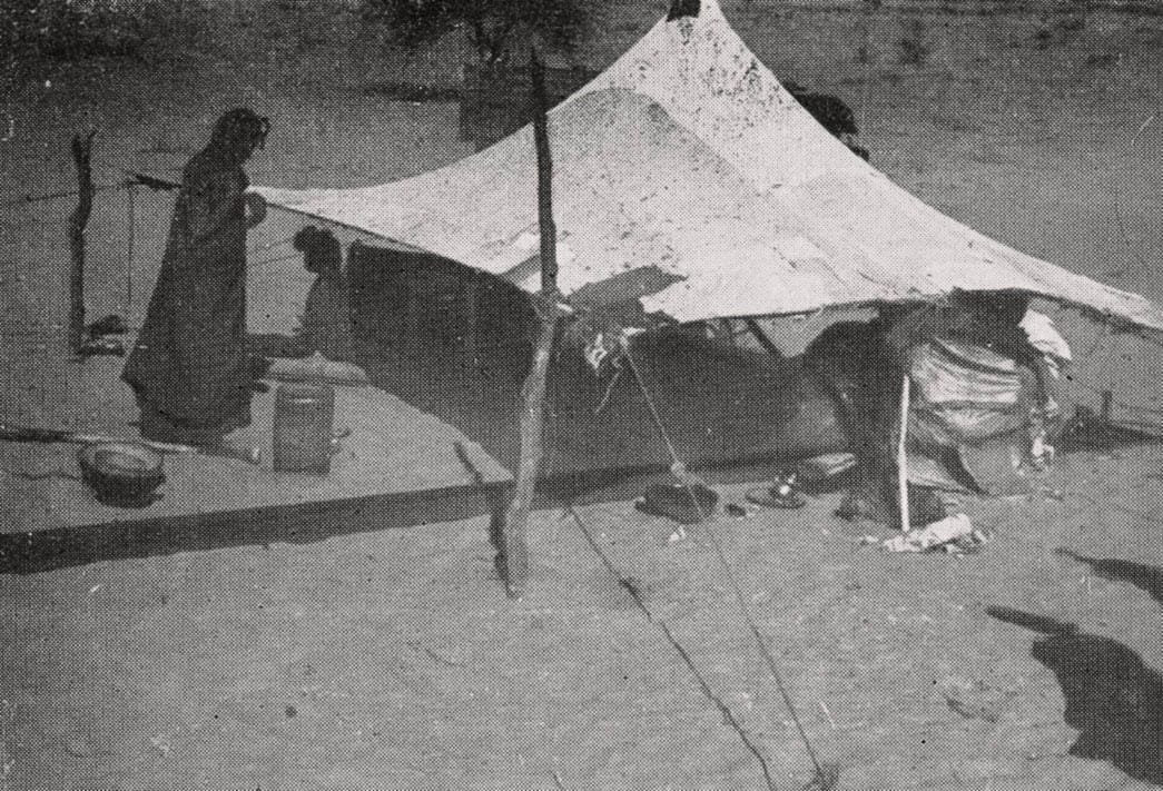 Nomad Museum - The tent in Morocco la tente au maroc 22 Cahiers 1955 fig 18