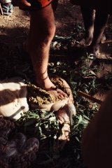 Pokot Kenya 1977